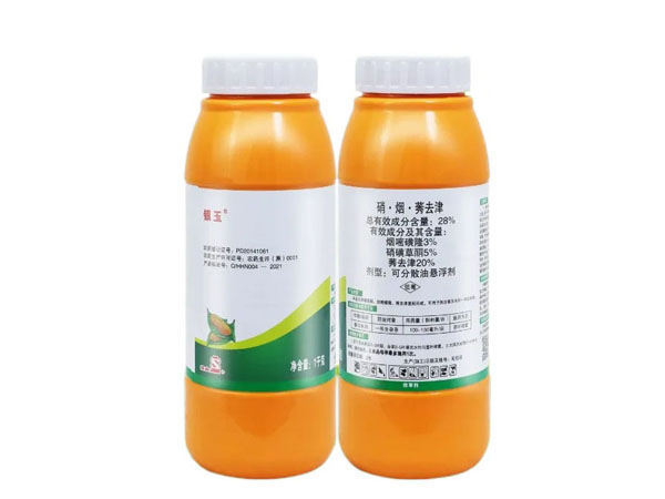 玉米田小麥苗太多用啥除草劑好？使用硝煙莠去津配方